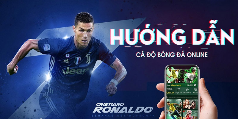 Hướng dẫn tân thủ cách cá độ bóng đá qua mạng